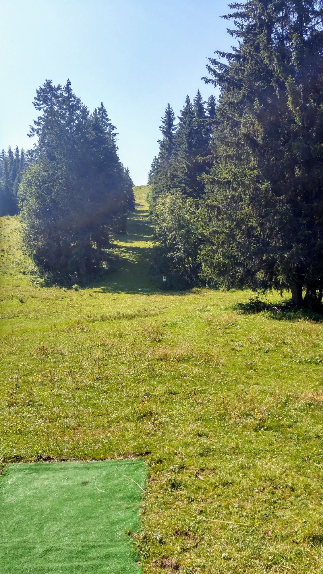 Hole 5