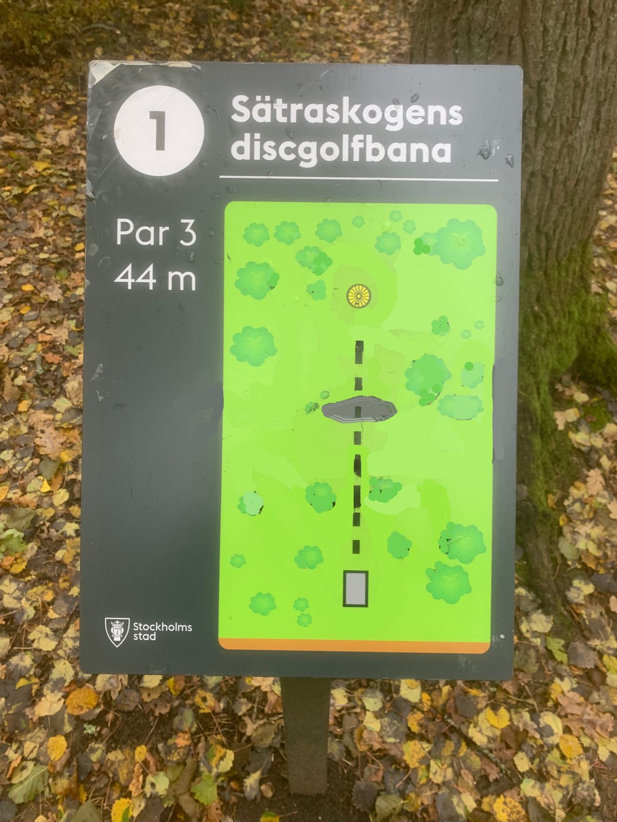 Tee 1