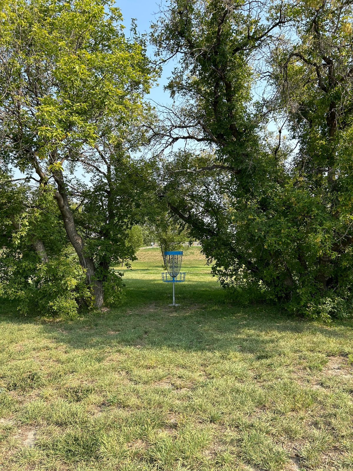 Hole 8