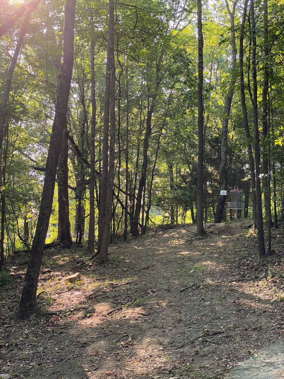 Hole 16 down fairway at the turn in dogleg