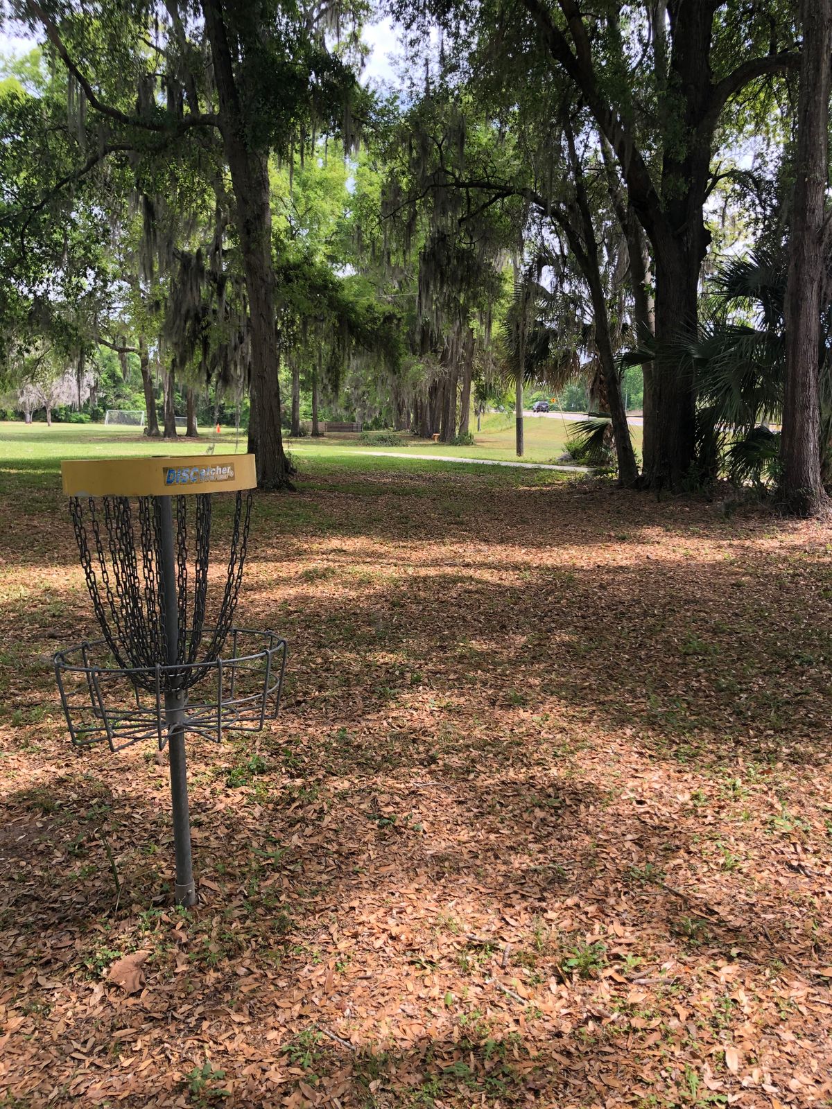 Hole 5, basket to tee
