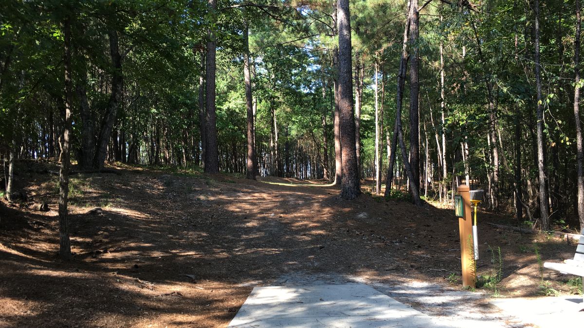 Hole 6