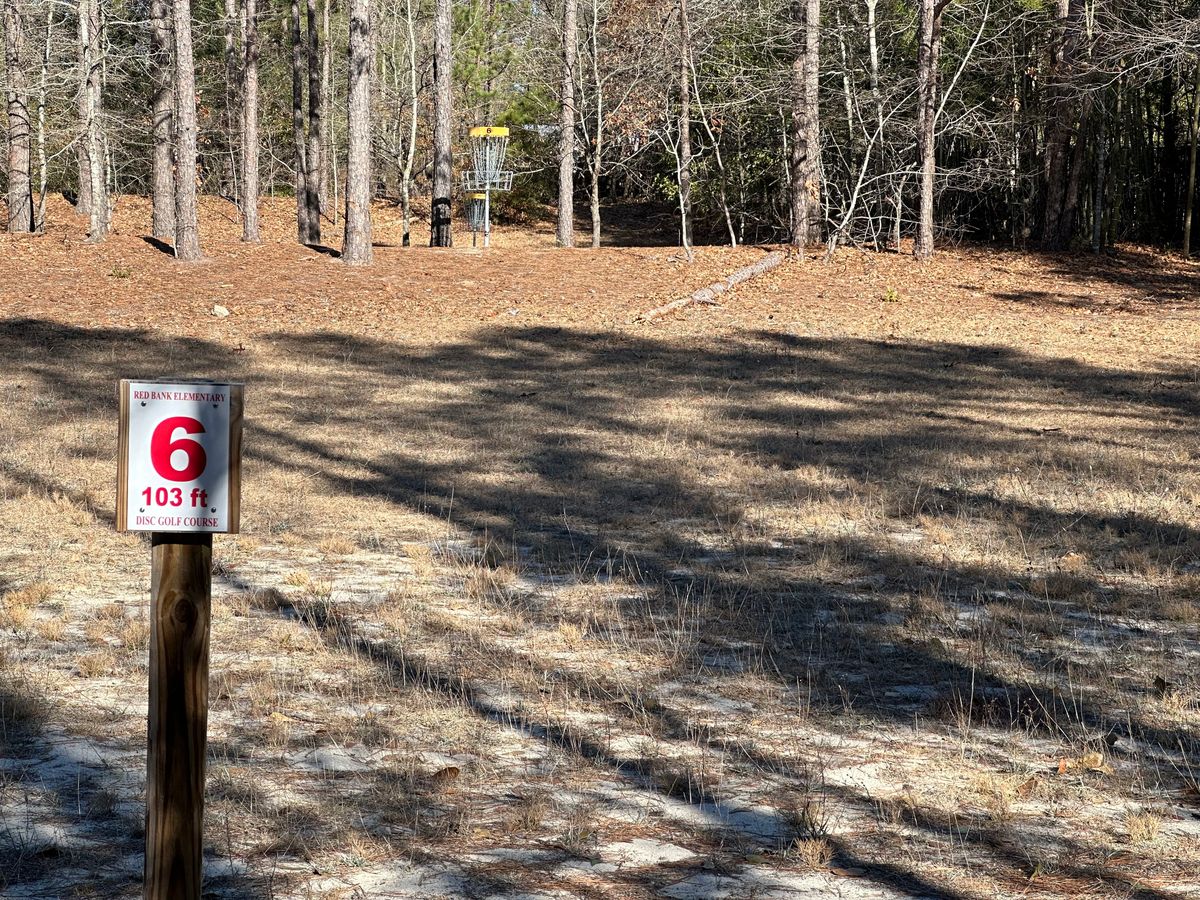 Hole 6