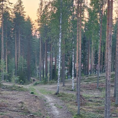 Väylä 7