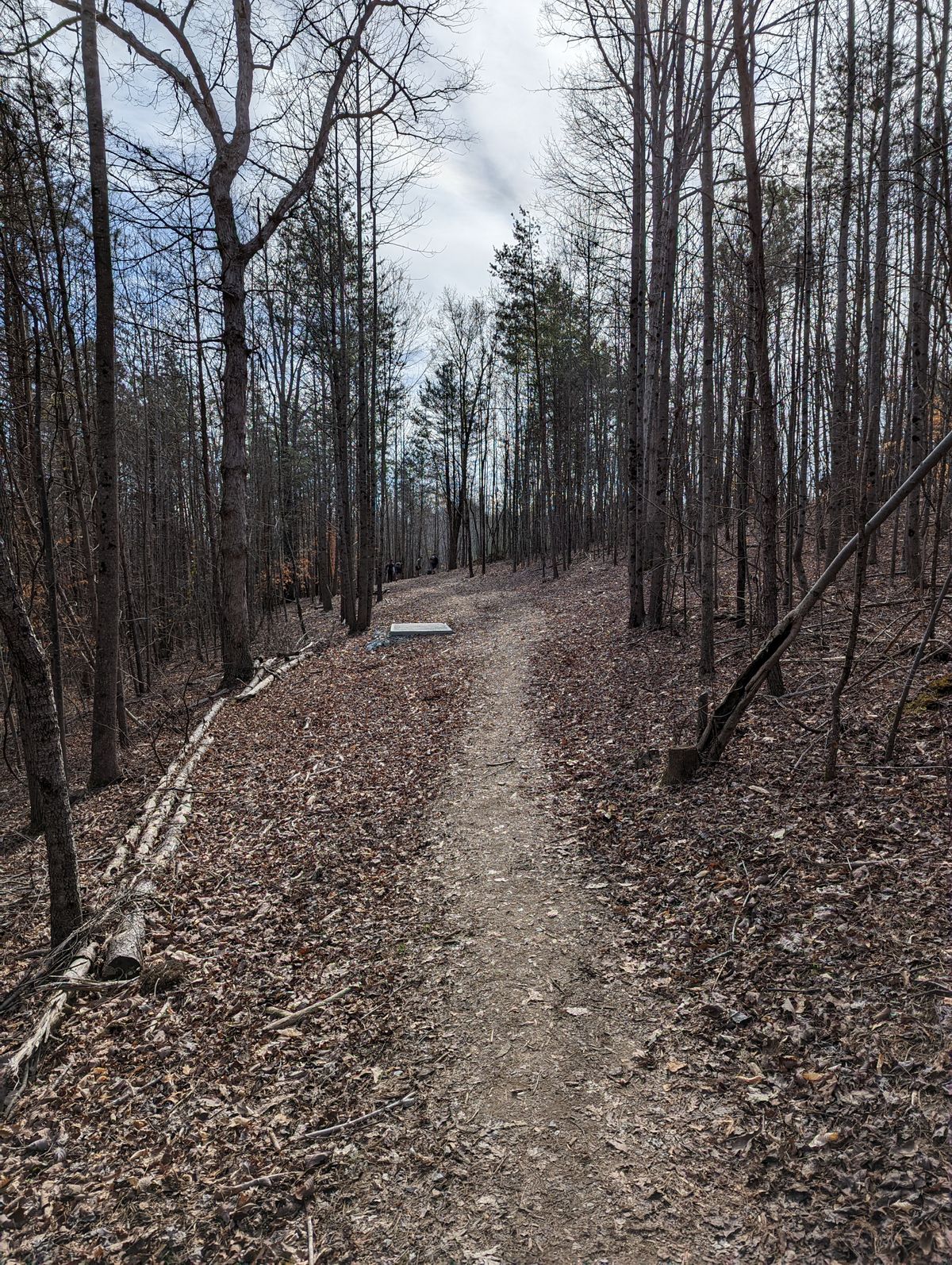 Hole 11, long tee