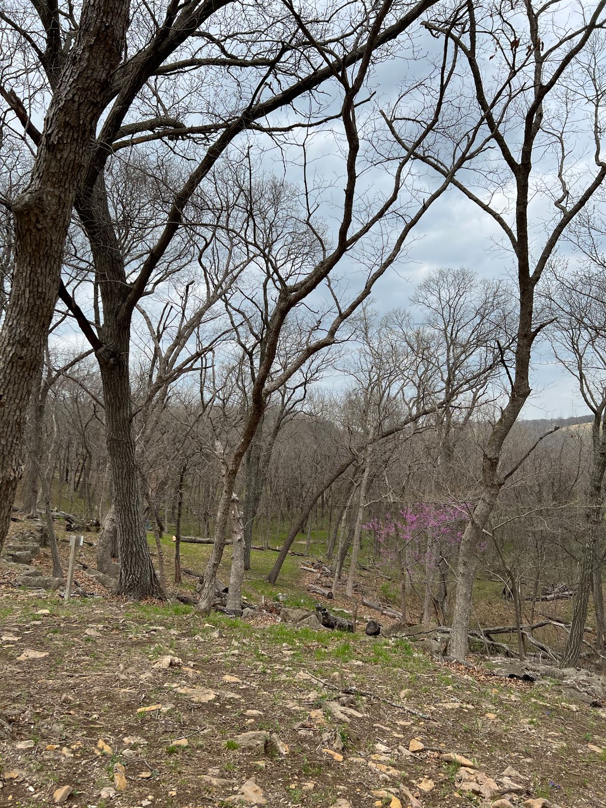 Hole 4