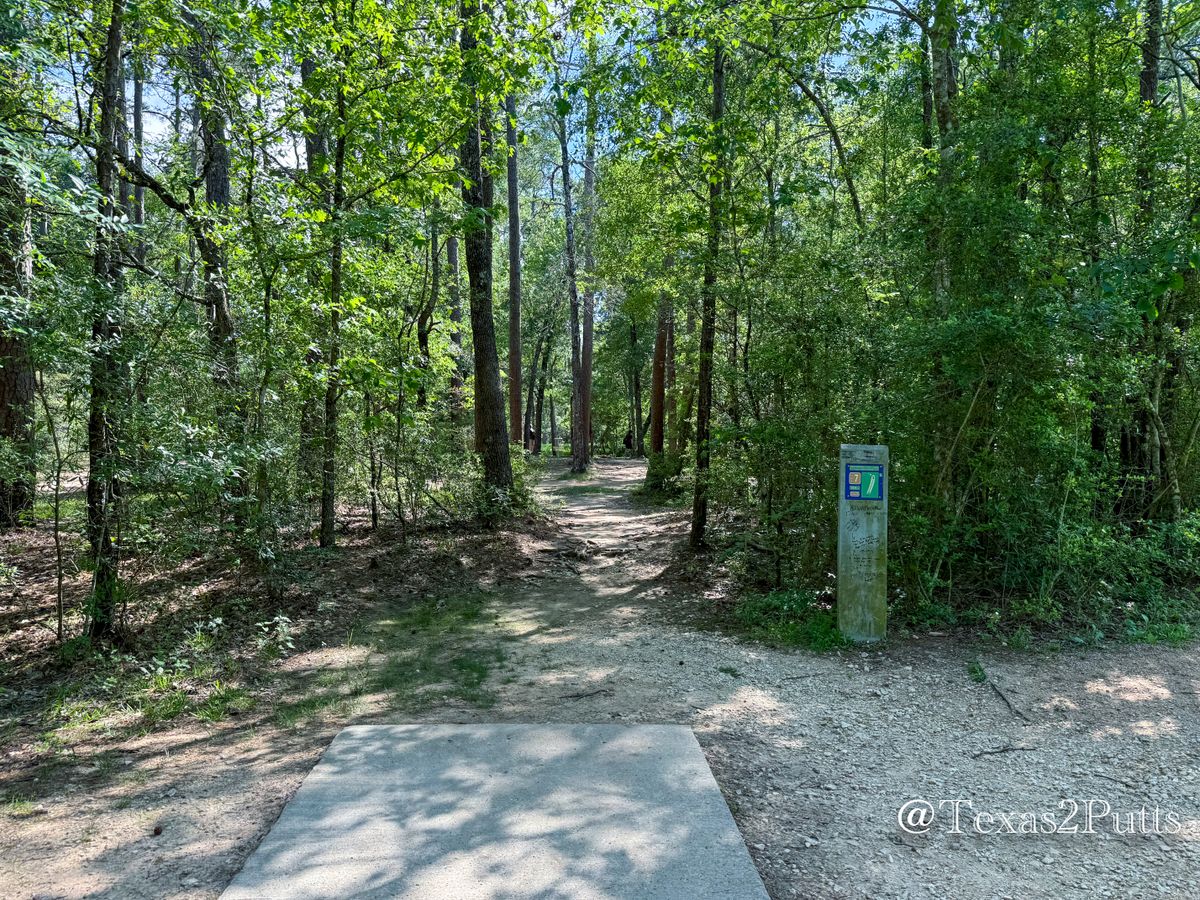 Hole 7