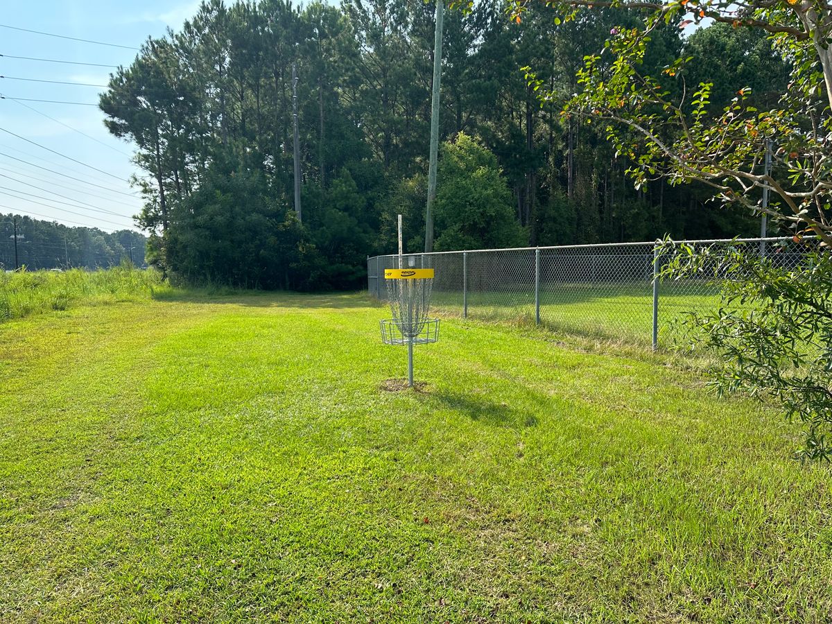 Hole 6 Basket