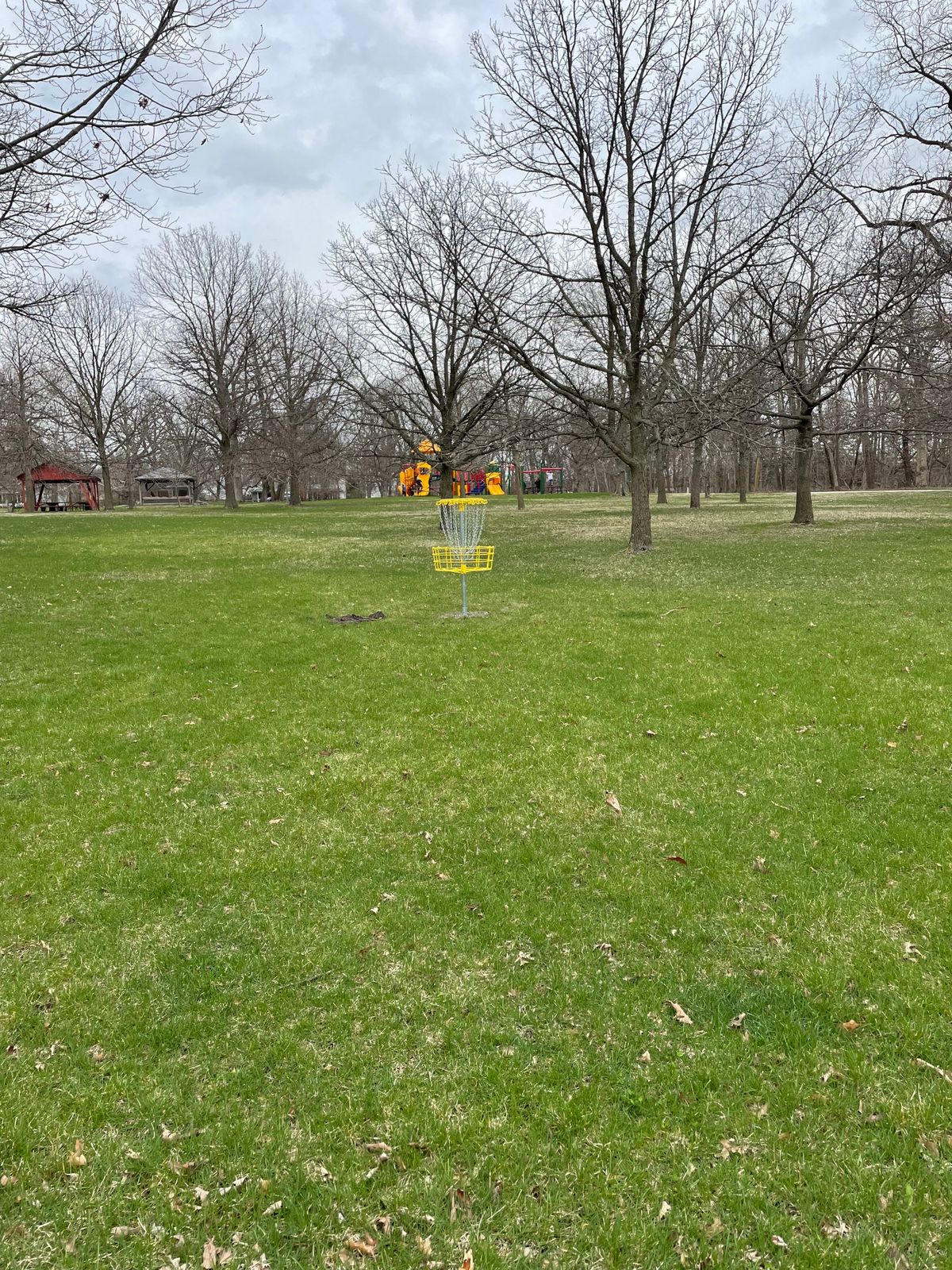 Basket of hole 21, the finishing hole.