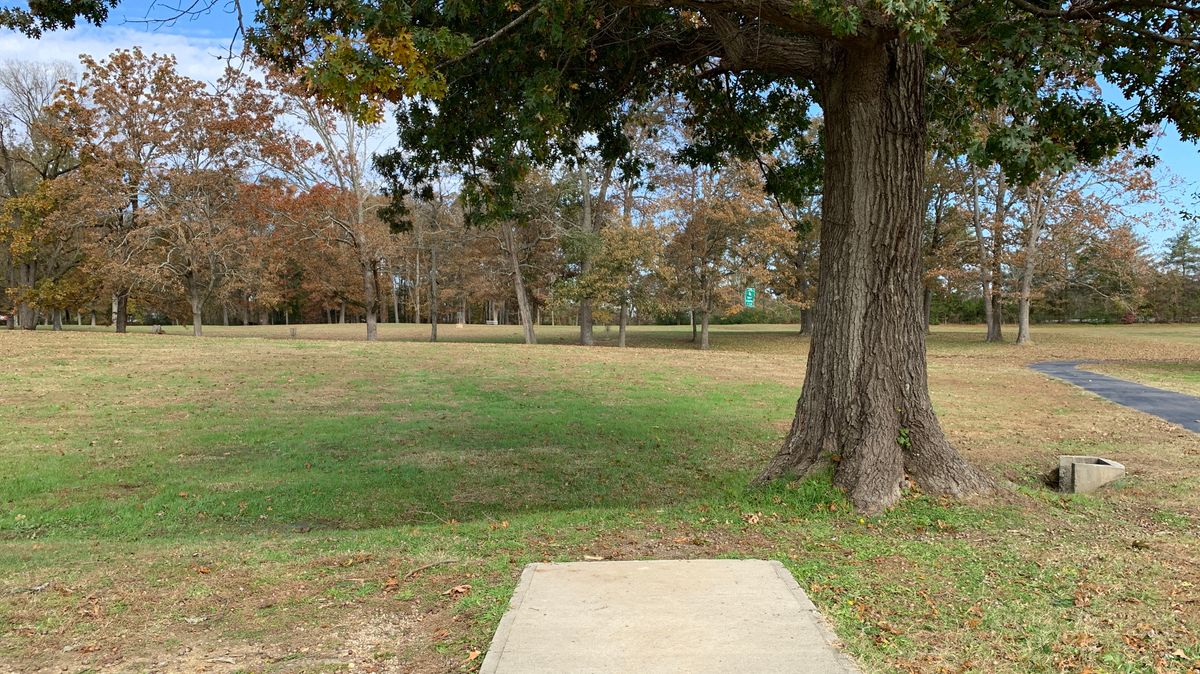 Hole 4