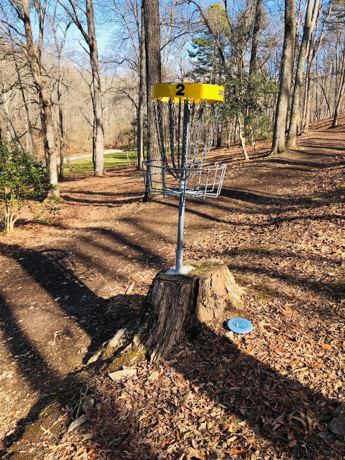 Hole 12 from behind the basket... unique design!