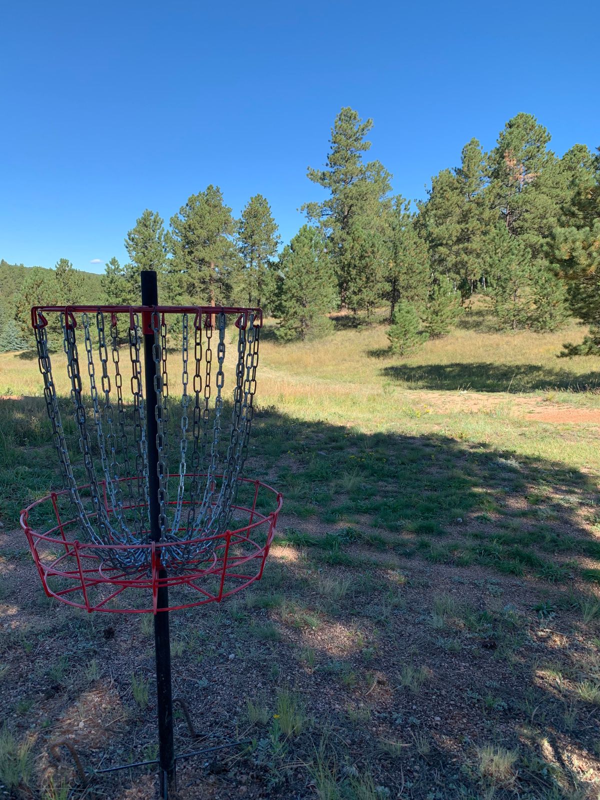 Basket #4