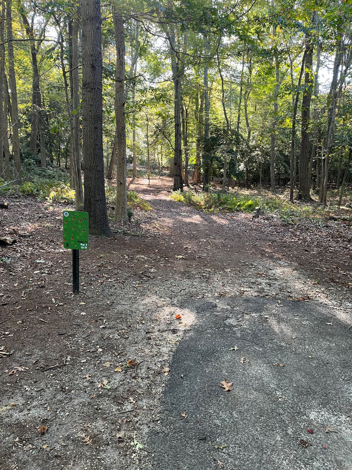 Hole 11 tee