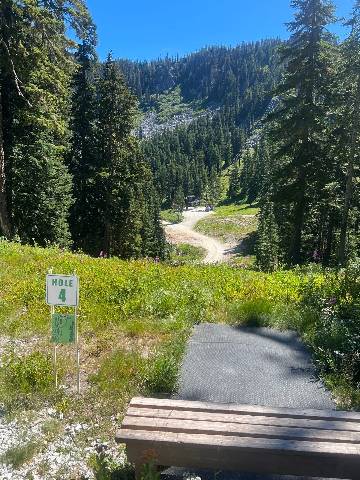 View from 4s tee. Basket is behind dirt where road bends on left.