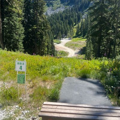 View from 4s tee. Basket is behind dirt where road bends on left.