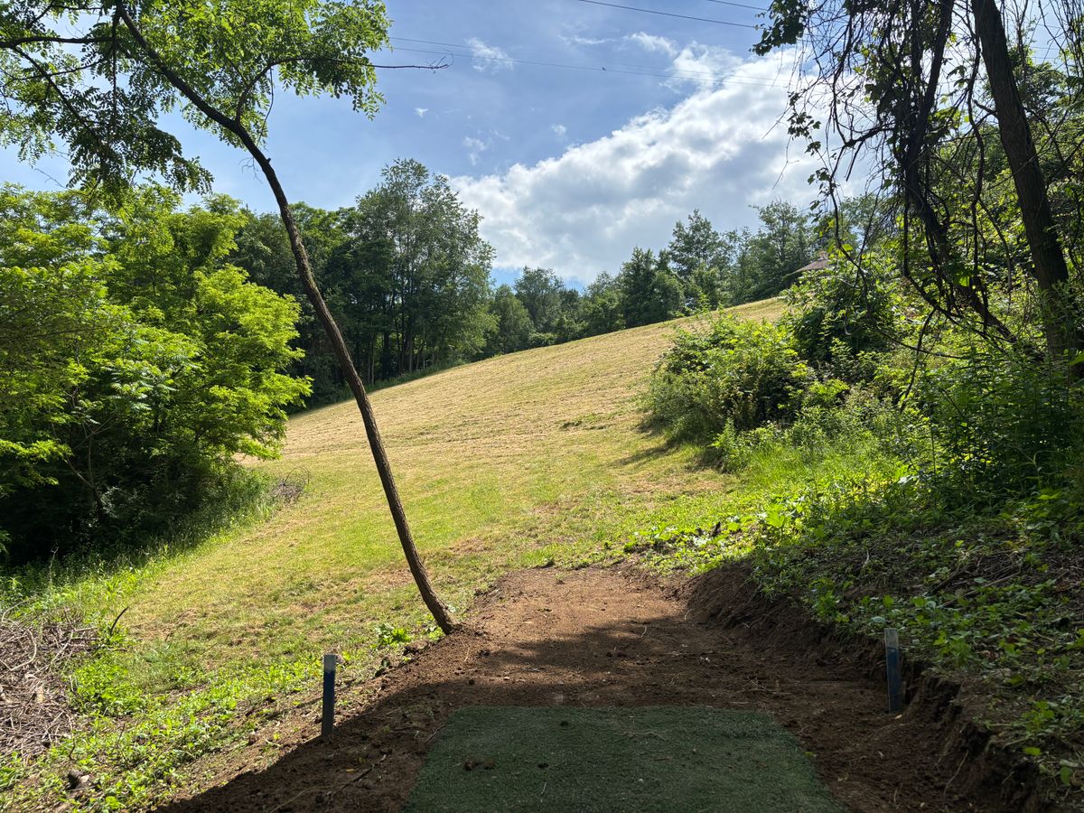 Hole 5 long tee