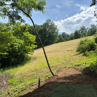 Hole 5 long tee