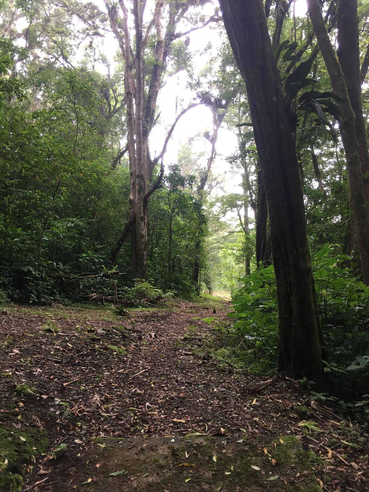 Hole 4 Long Tee