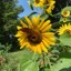 User avatar image