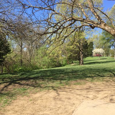 Hole #8 from the tee.