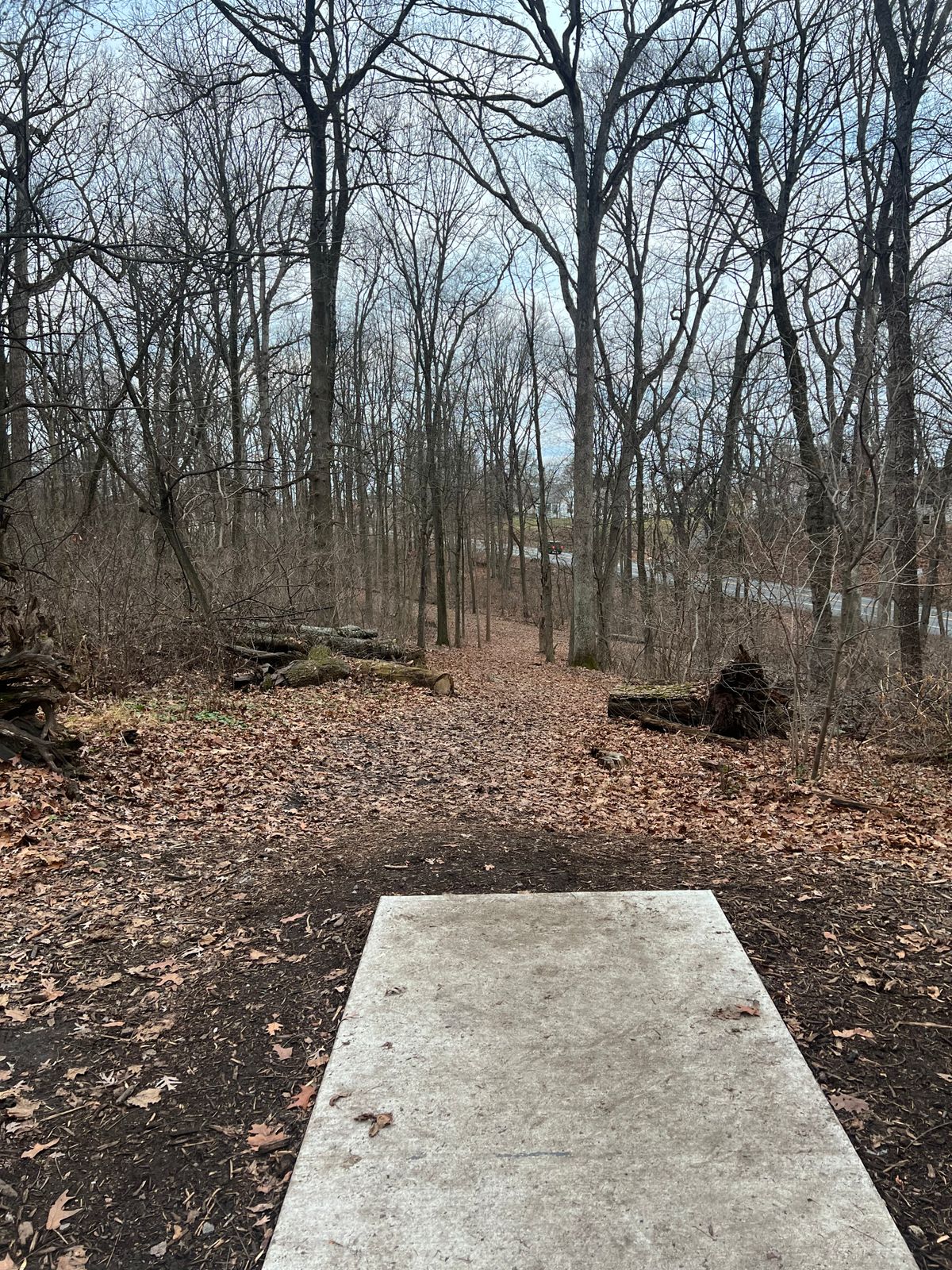Looking down hole 5s fairway