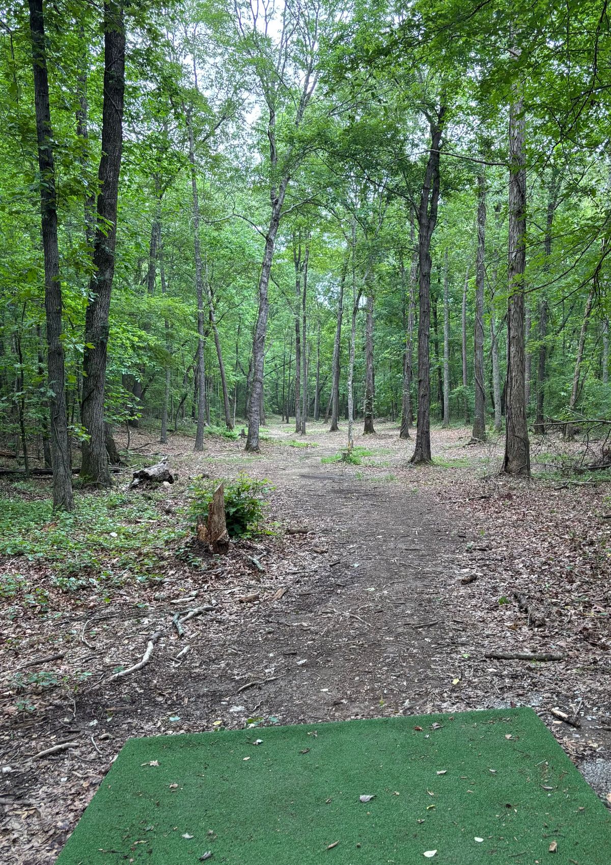 Hole #15 Tee