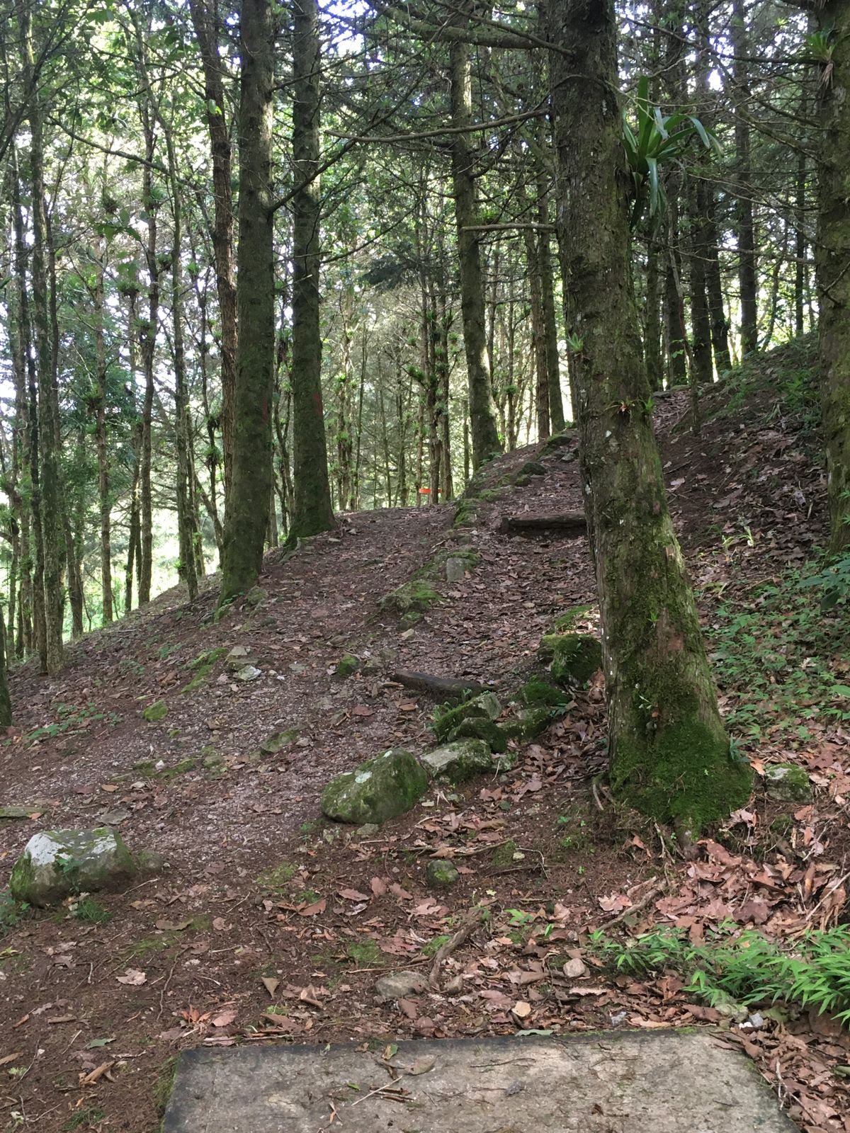 Hole 1 Short Tee