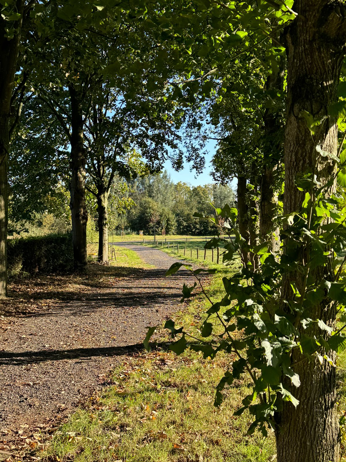 Hole 9 blue