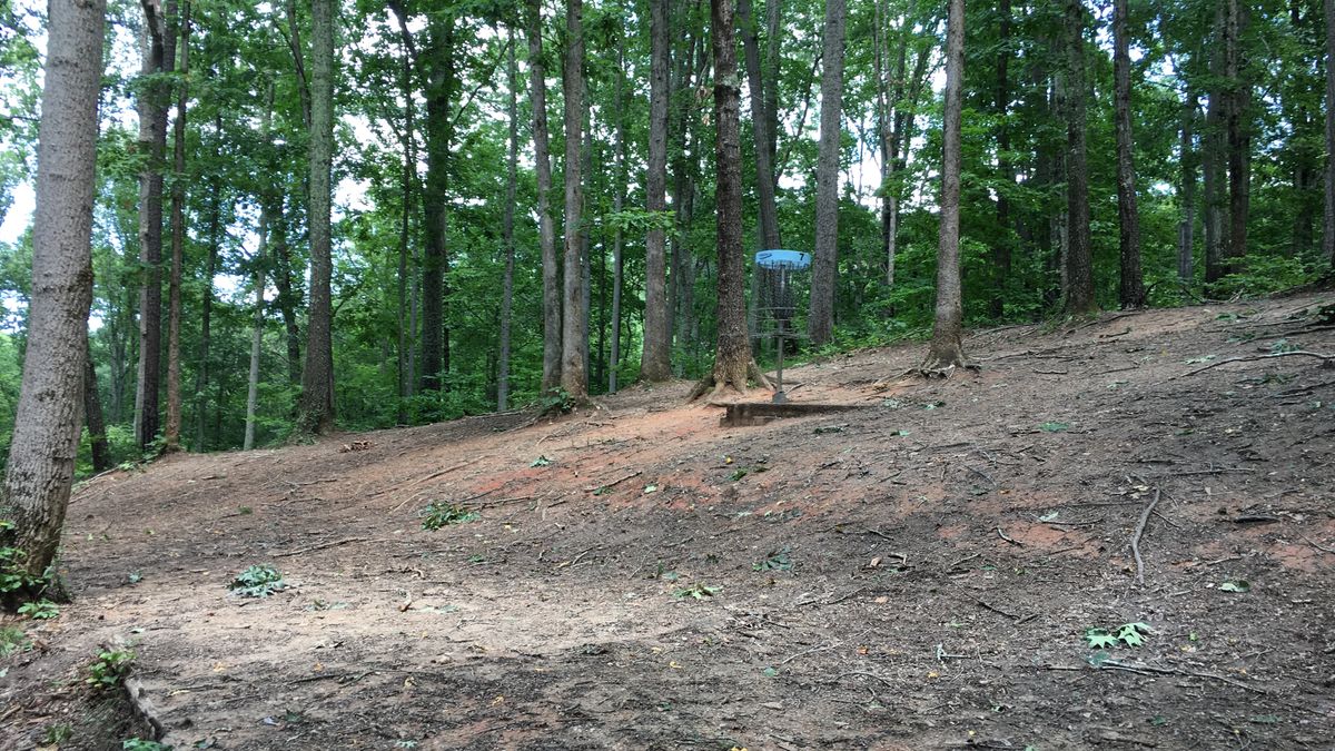 Hole 7