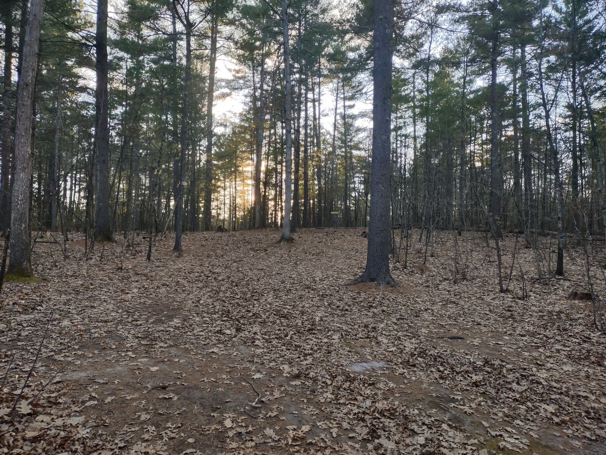 Hole 15