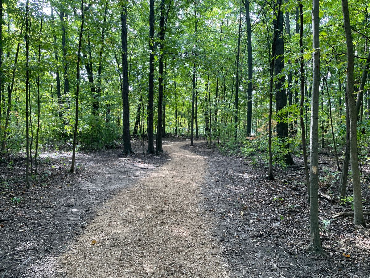 The entire course path is lined with beautiful mulch.