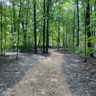 The entire course path is lined with beautiful mulch.