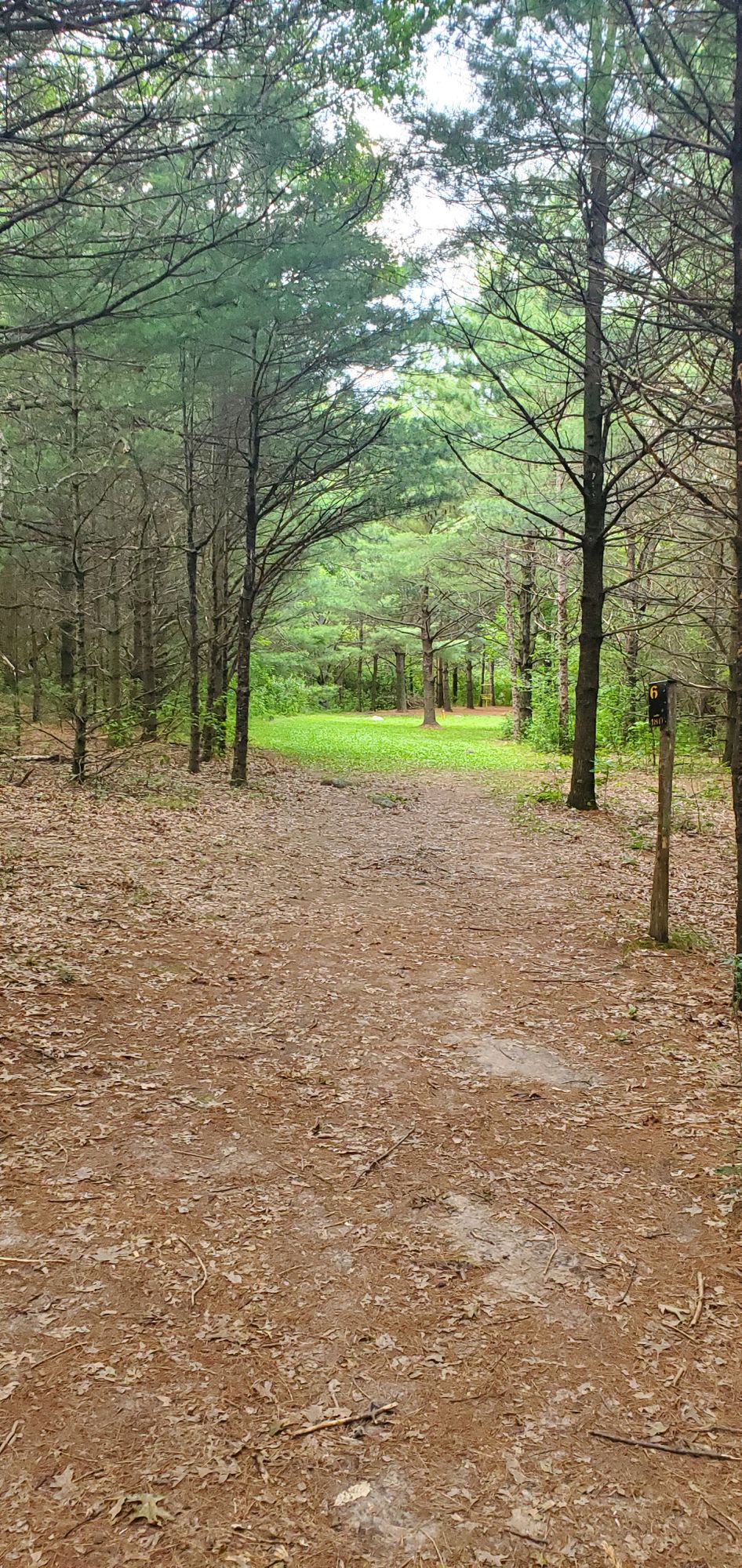 Hole #6 from tee.