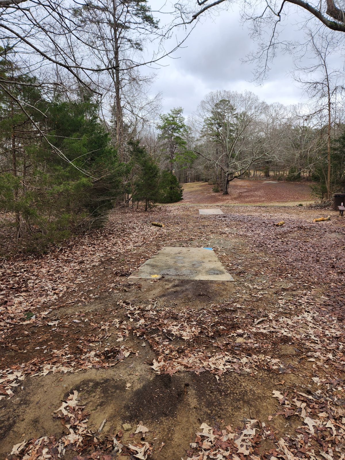 Hole 15 Blue Tee