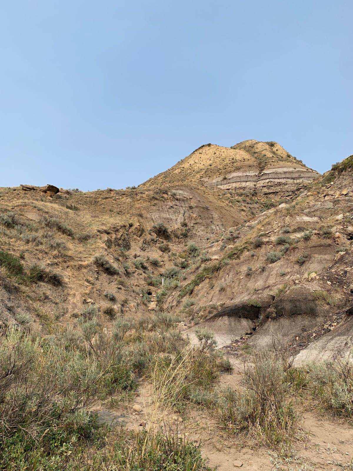 Badlands Disc Golf