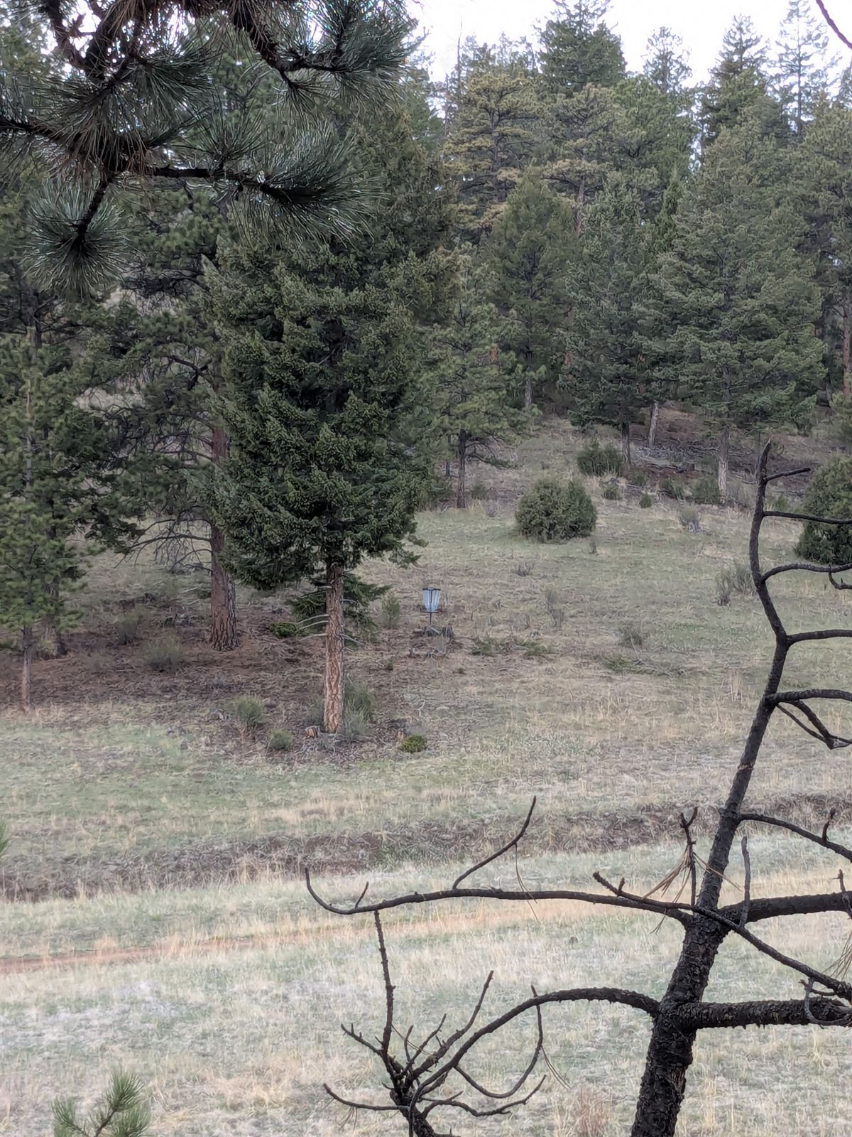 Hole 1 Basket