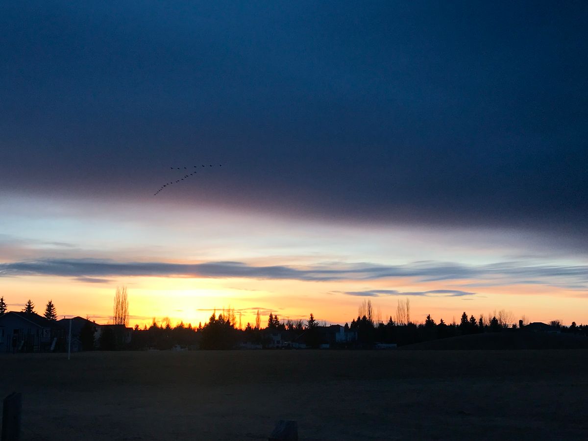 April 1, 2022 from the parking lot looking towards basket 1 & 9