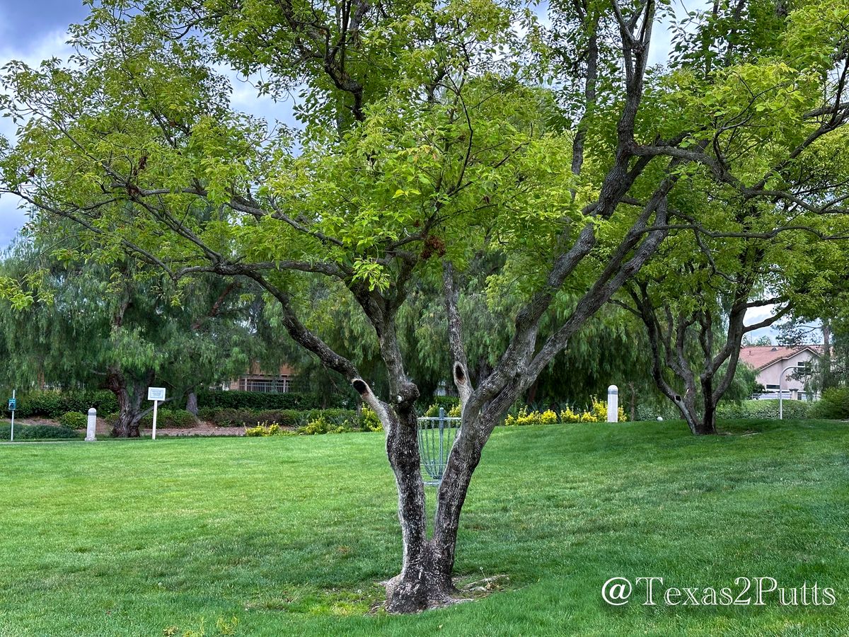 Hole 6