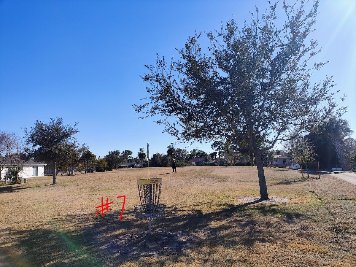 New #7 basket looking back at dogleg.