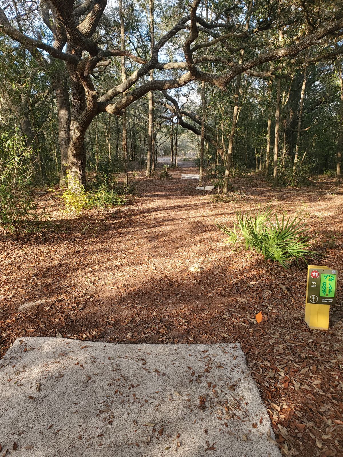 Hole 11