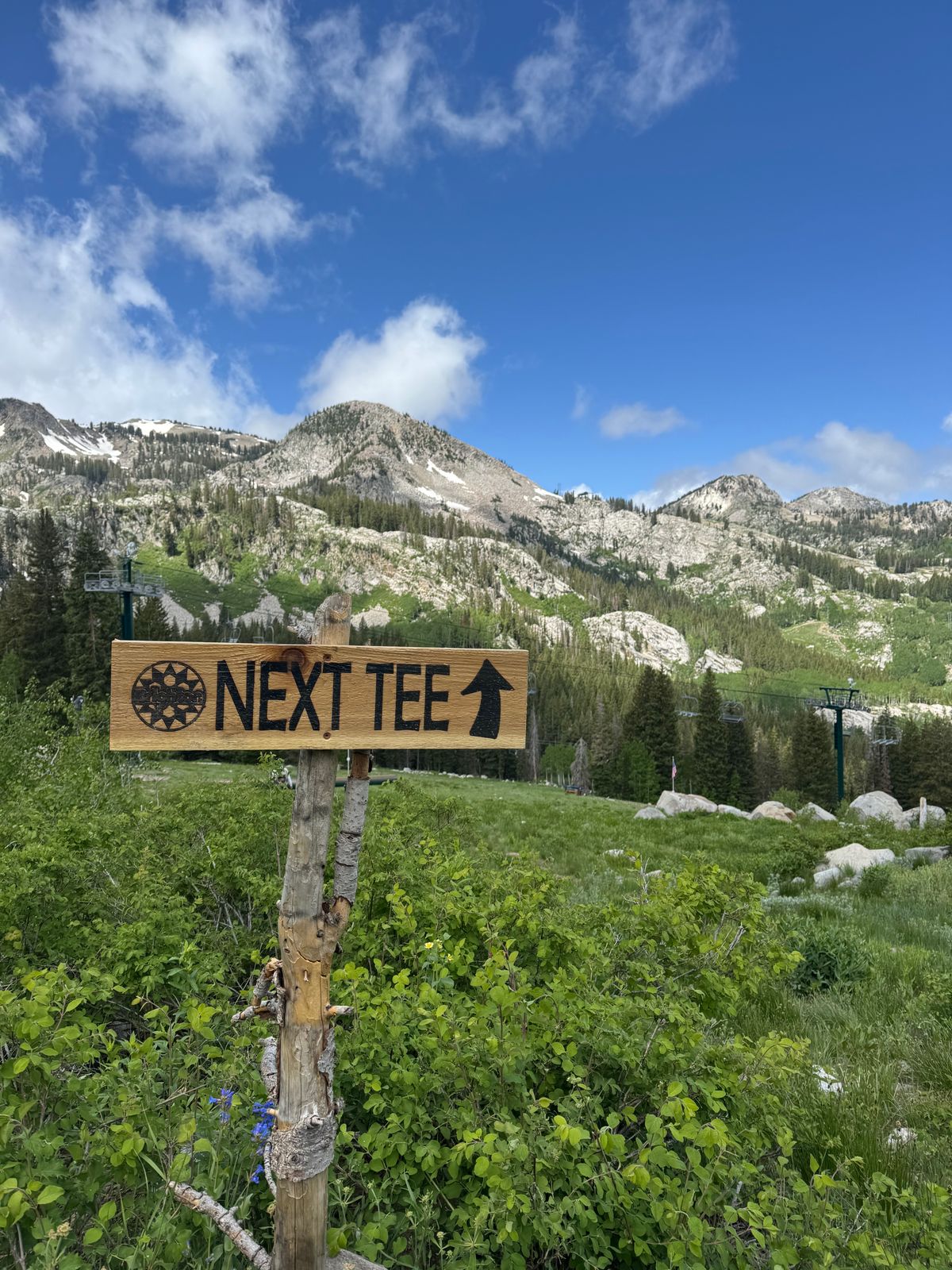 Next tee arrows on every hole