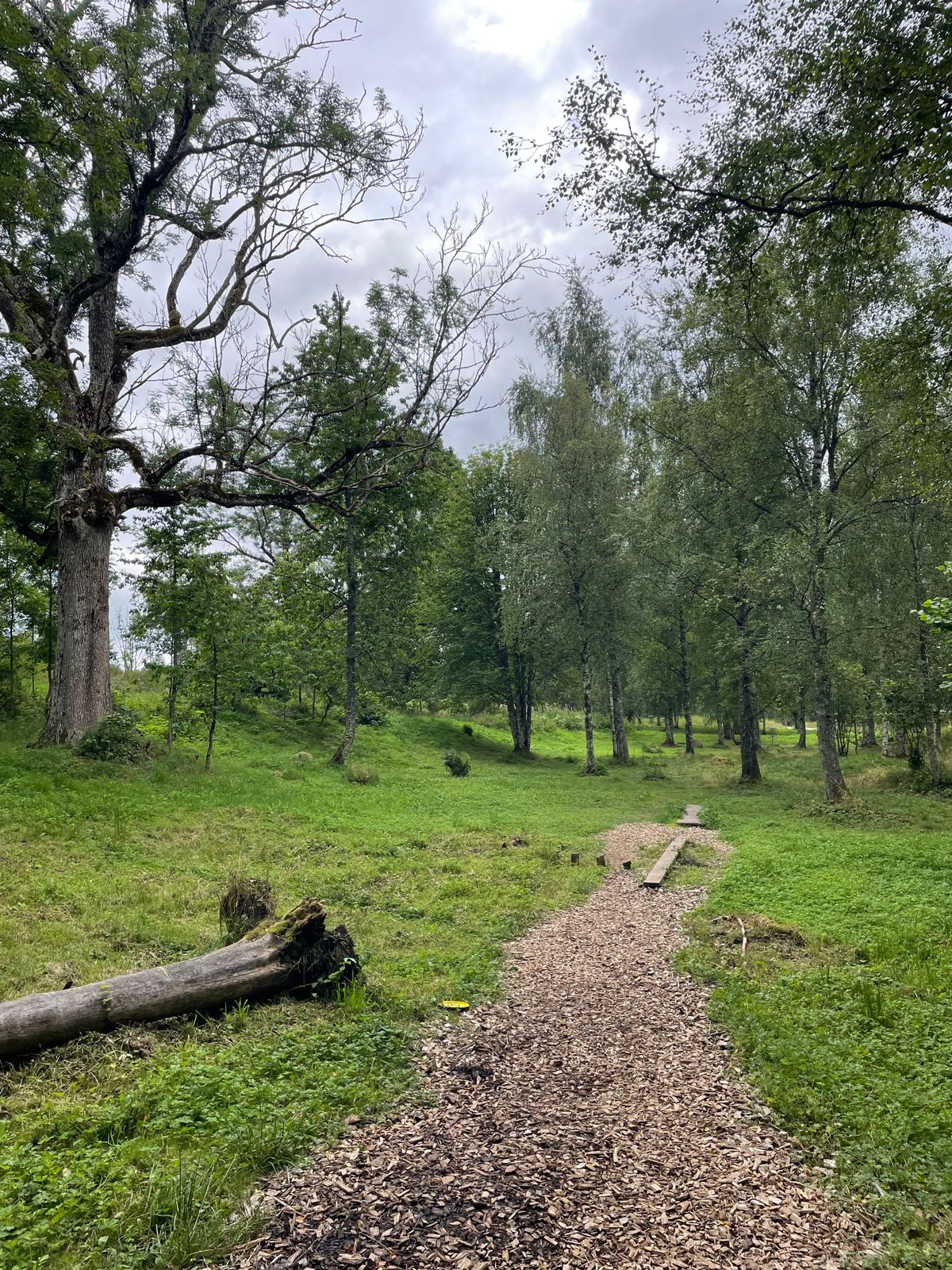 Hole 6