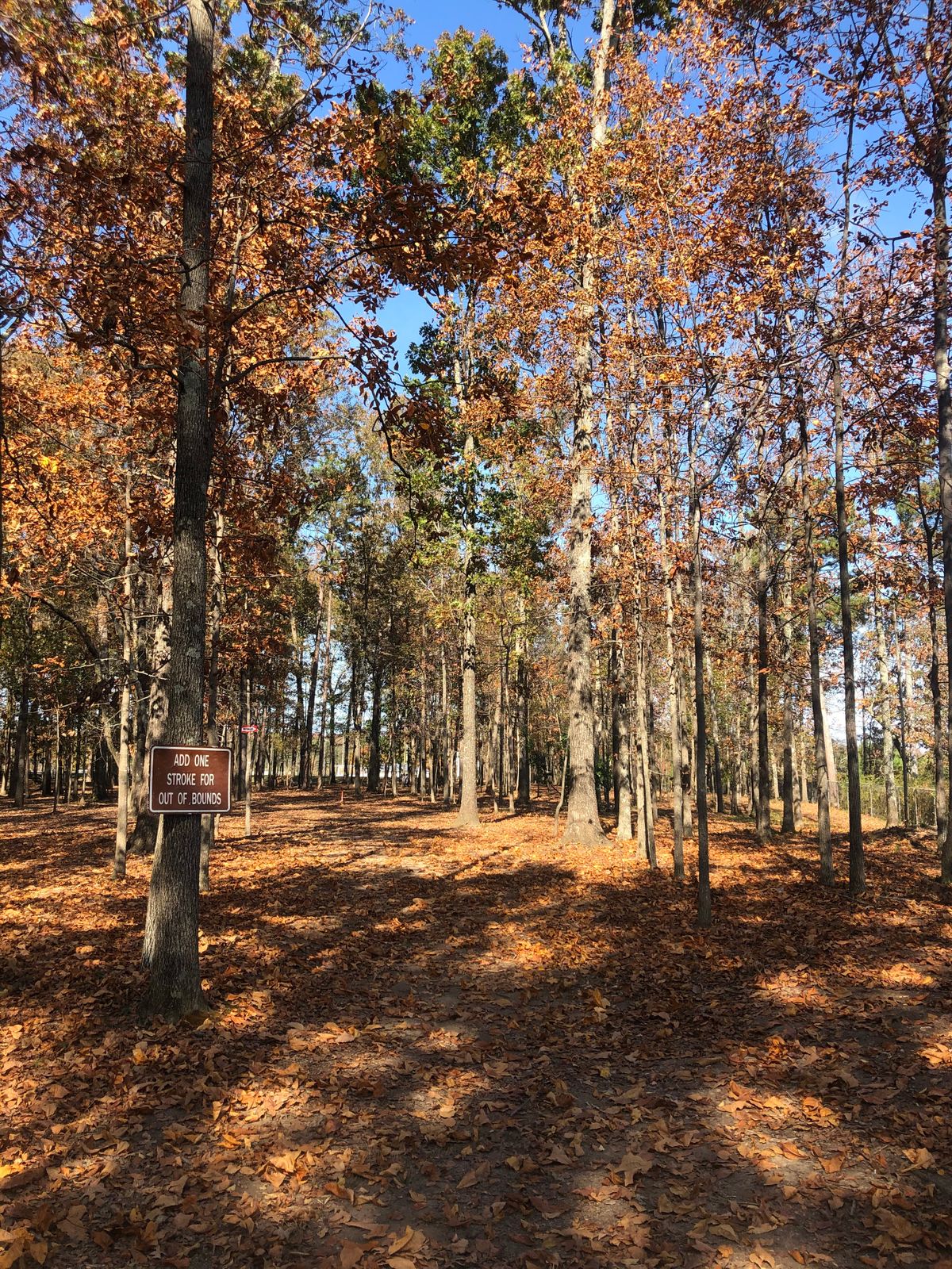 Hole 2