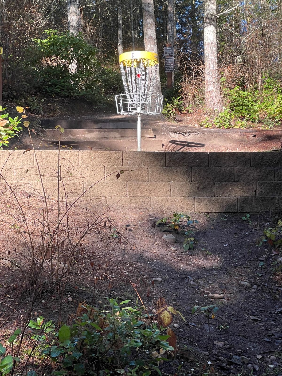 Hole 6 basket with new wall.