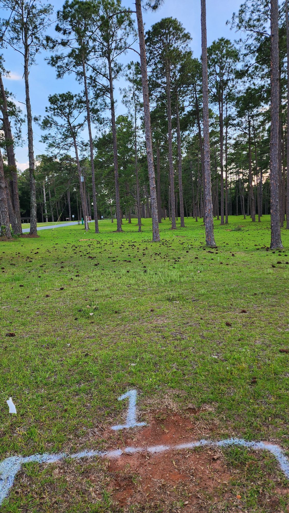 Hole 1 347'