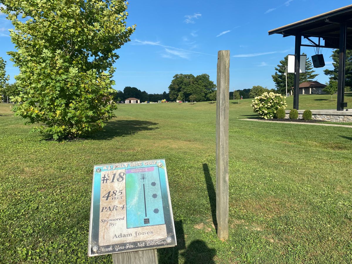 Hole 18, taken 9/4/2023.  Wide open, post does not block throws, basket is uphill to the right.