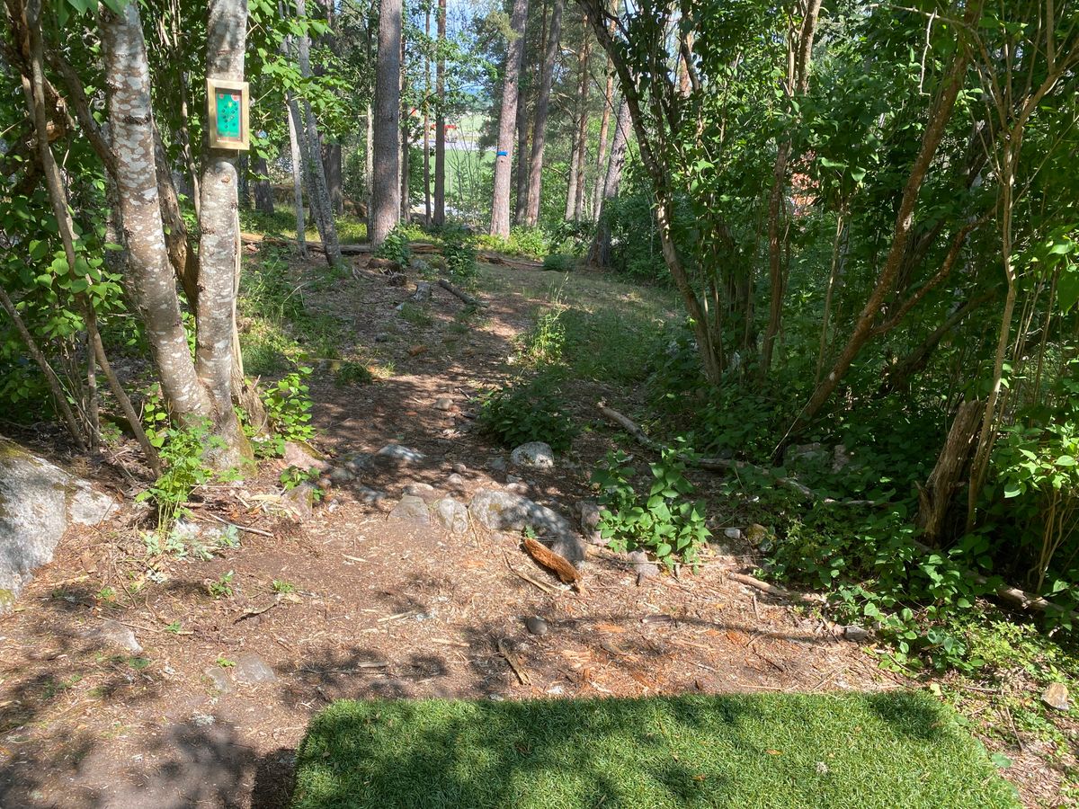 Hole #8