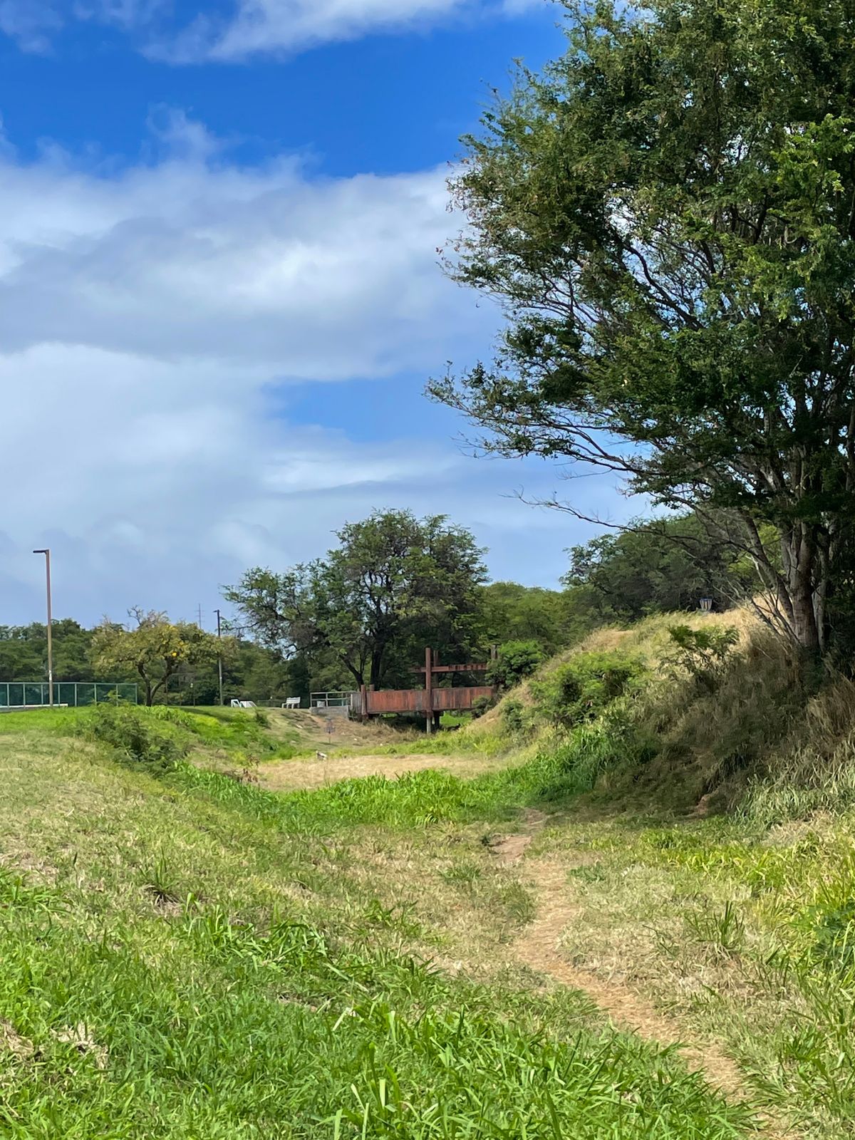 baseball diamond fence ob on the left