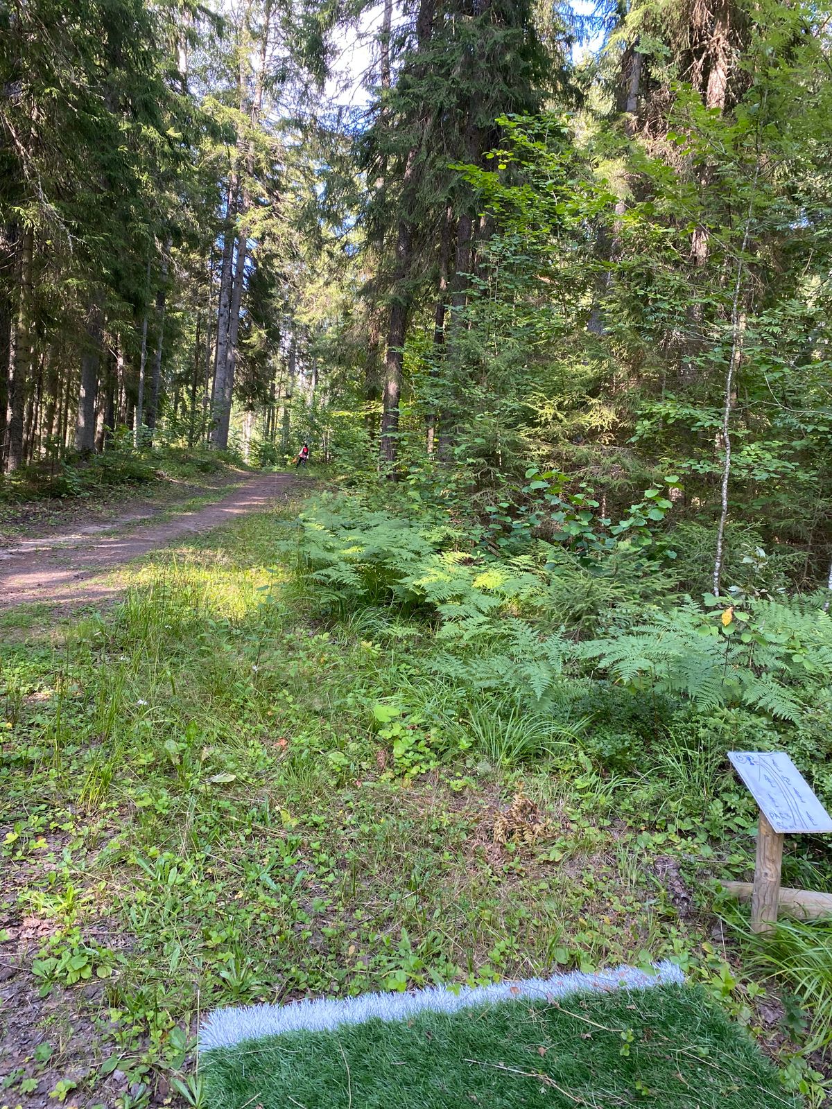 Rada 15, väga võsane