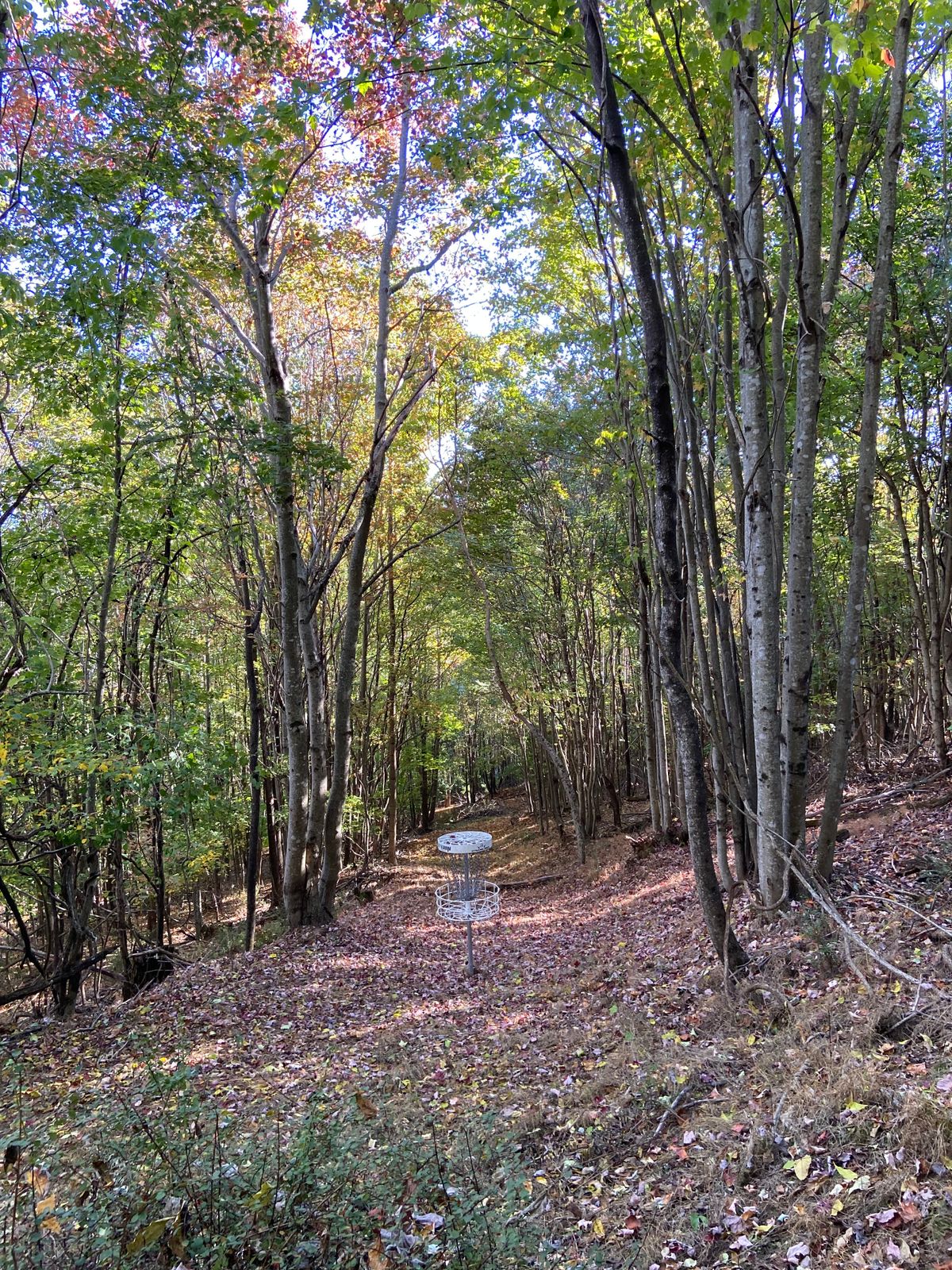 Hole 2 green